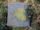 image number broc143